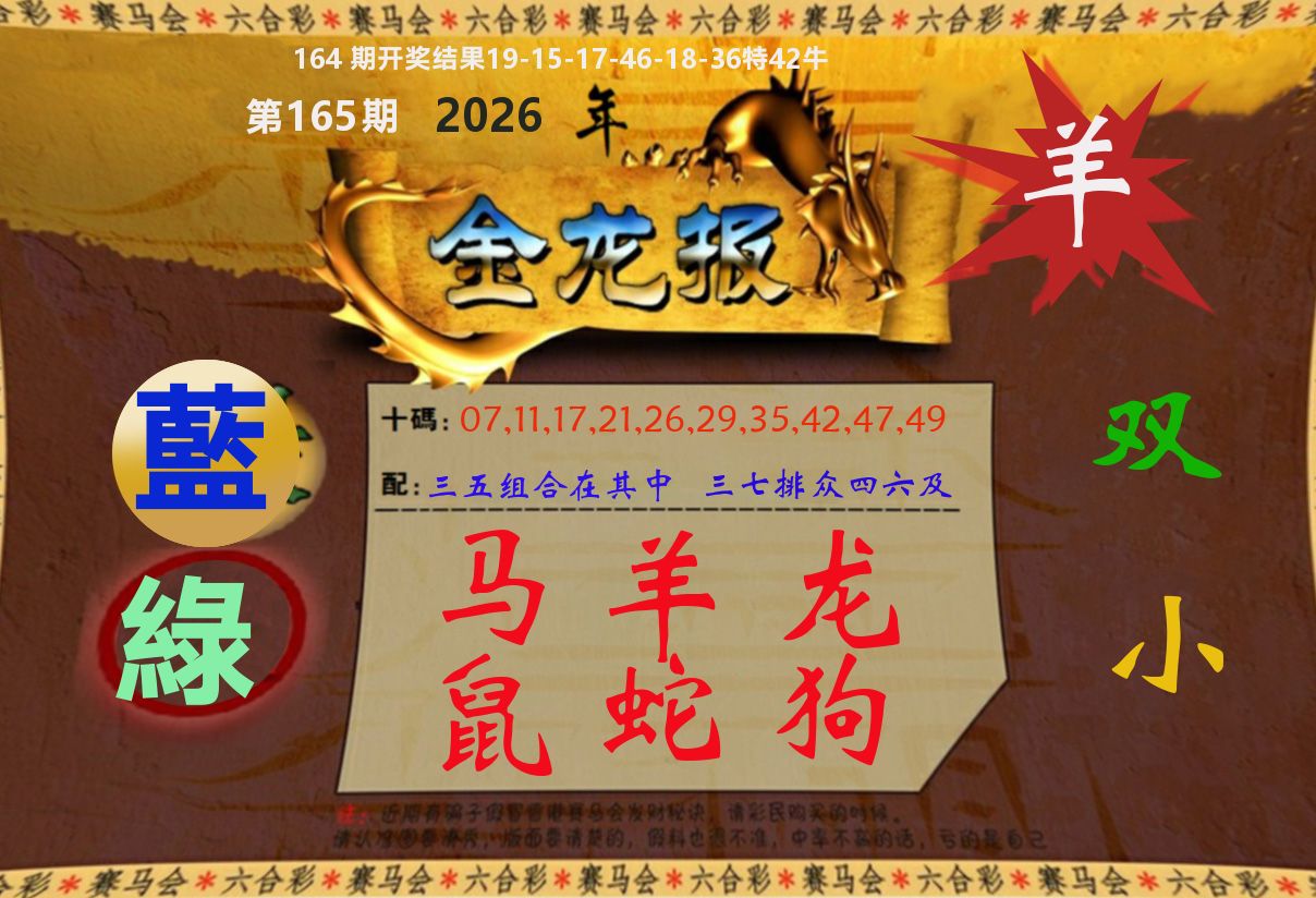 金龙报 第165期