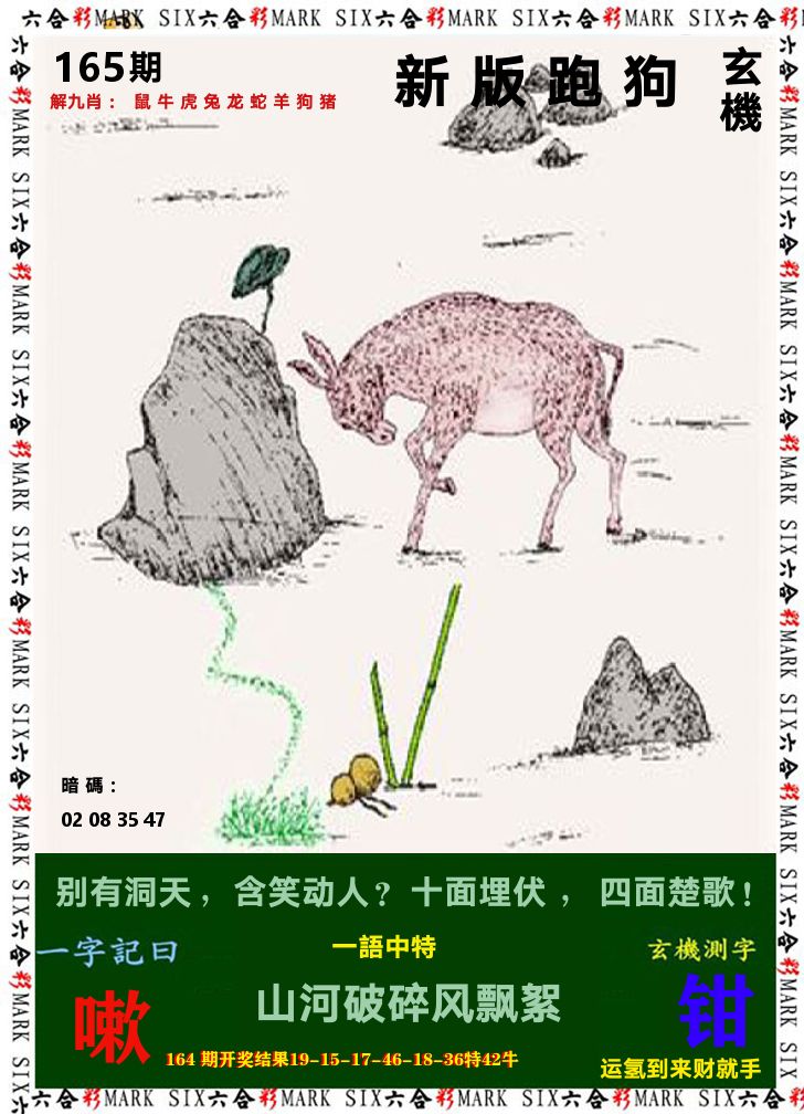 悟入其图 第165期