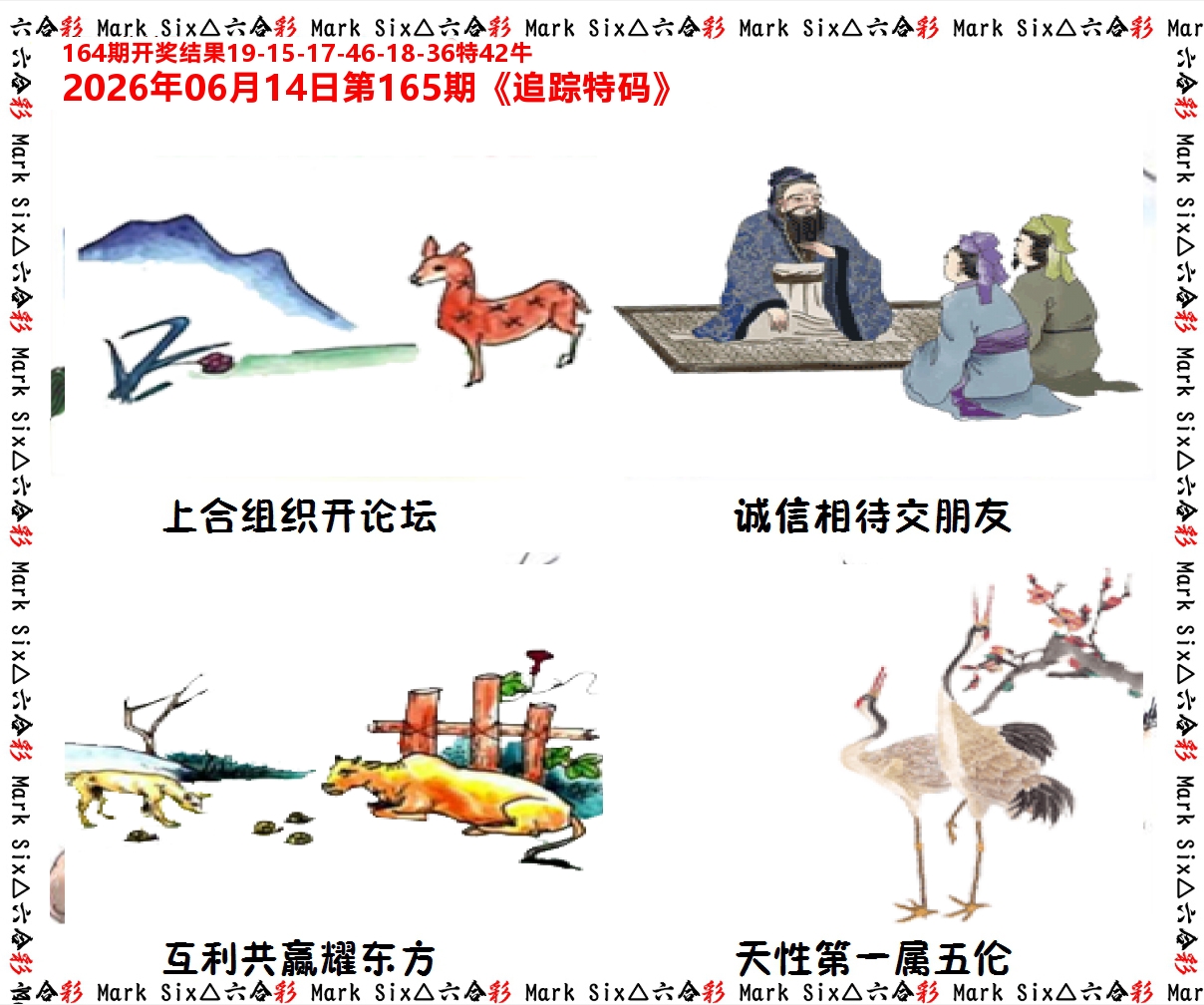 追踪特码 第165期