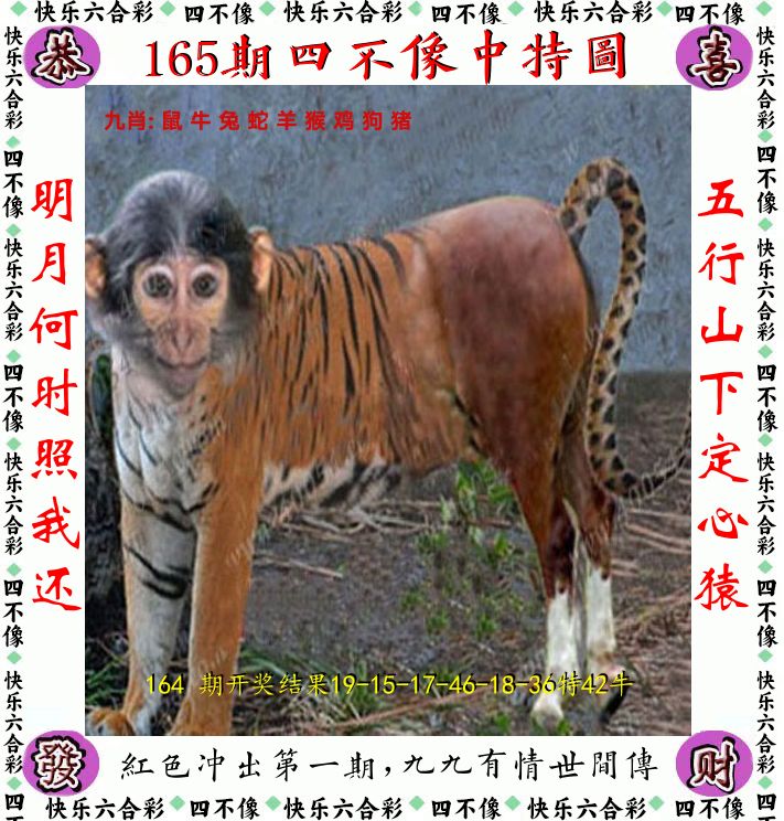 四不像 第165期