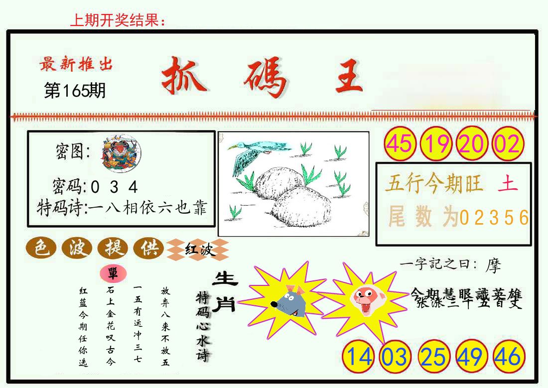 最新抓码王 第165期