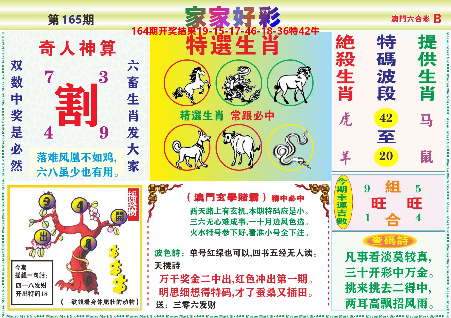 家家好彩B 第165期