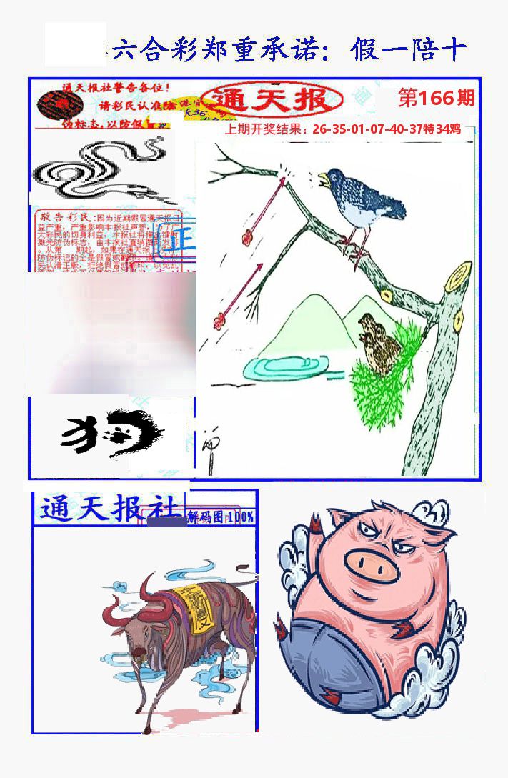通天报 第166期