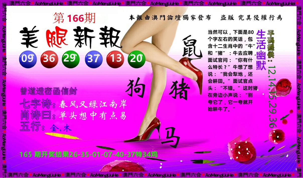 美腿新报 第166期