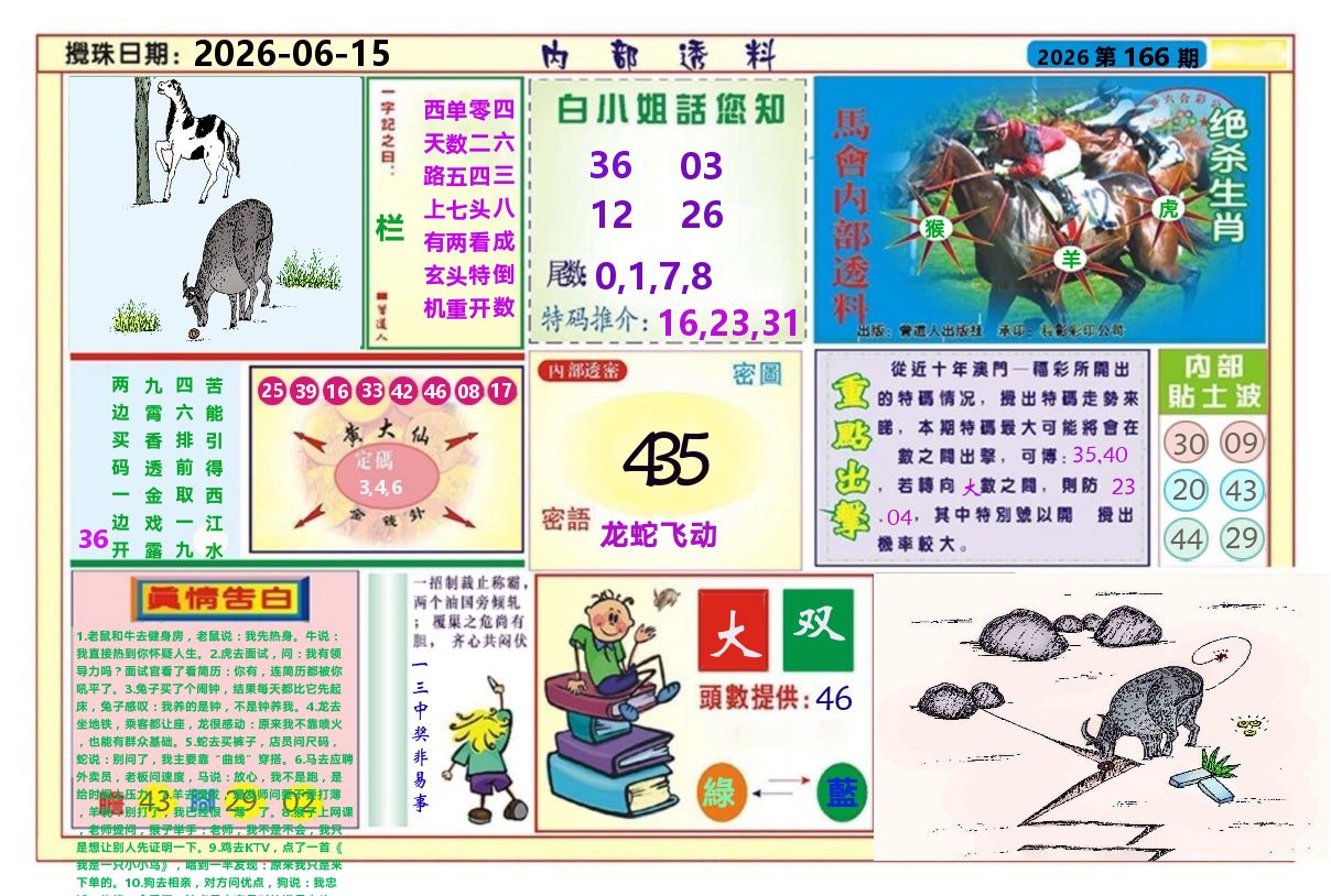澳门内部透料A 第166期
