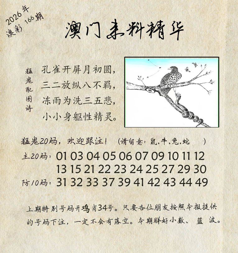 精华来料 第166期
