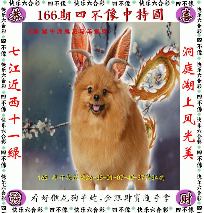 四不像 第166期