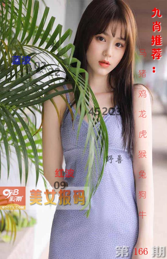 美女报码 第166期