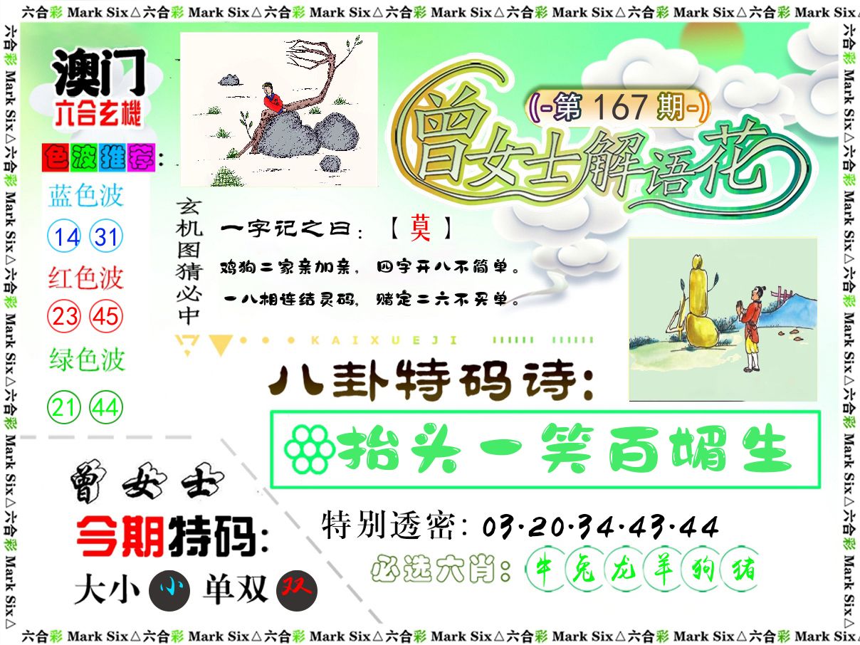 曾女士解语花 第167期