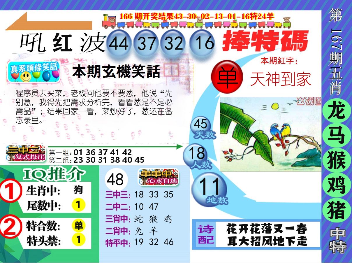 新特报 第167期