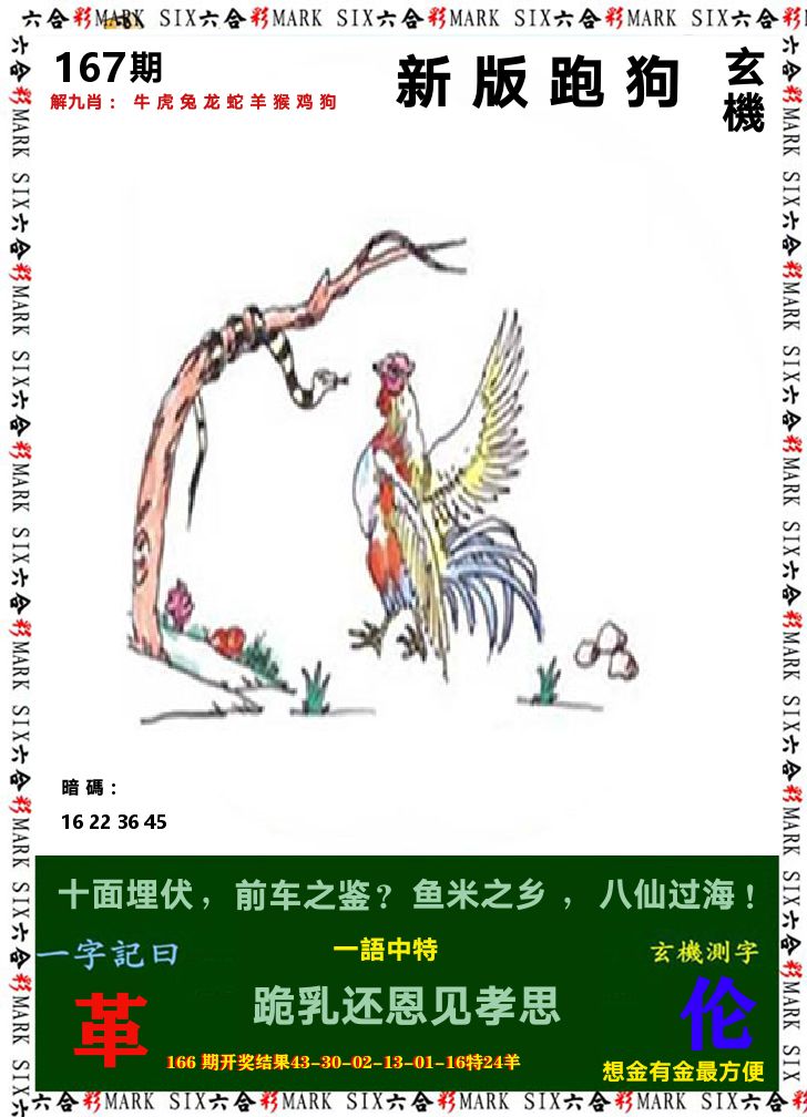 悟入其图 第167期