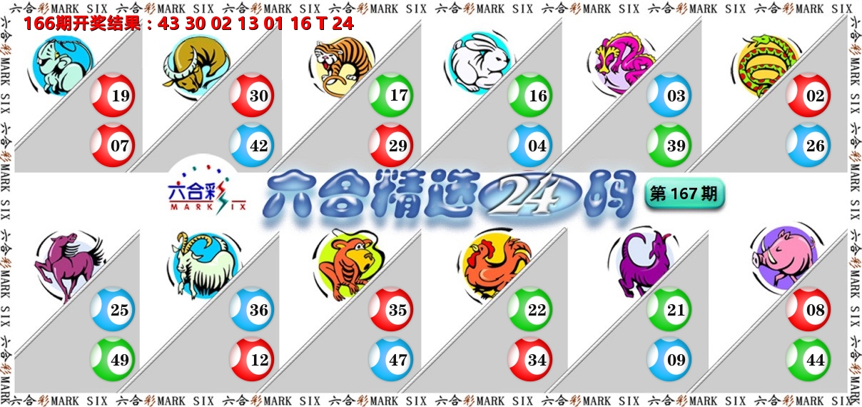 六合精选24码 第167期