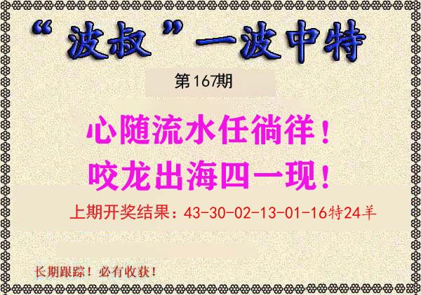 波叔中特 第167期