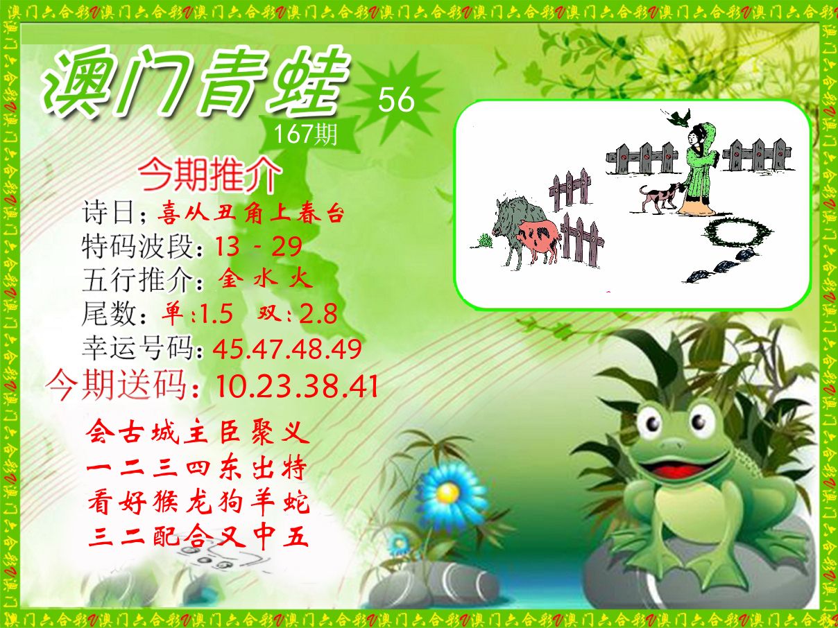 青蛙系列56 第167期