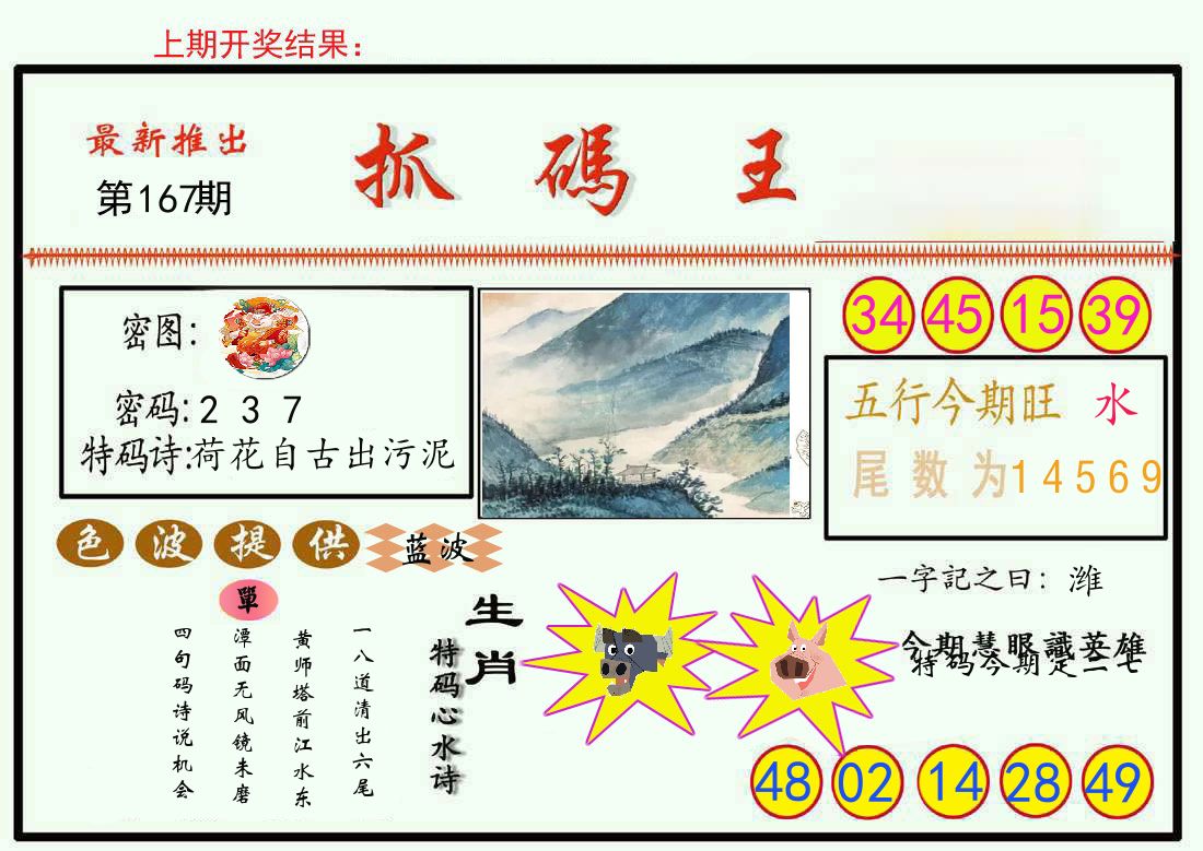 最新抓码王 第167期