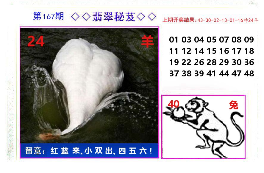 翡翠秘芨 第167期