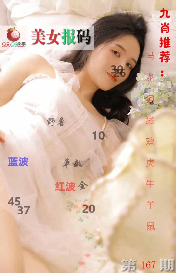 美女报码 第167期