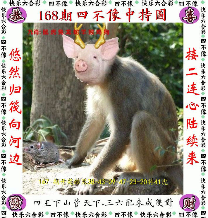 四不像 第168期