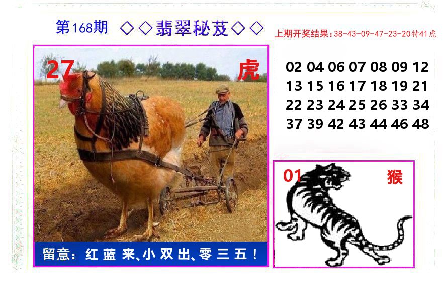 翡翠秘芨 第168期
