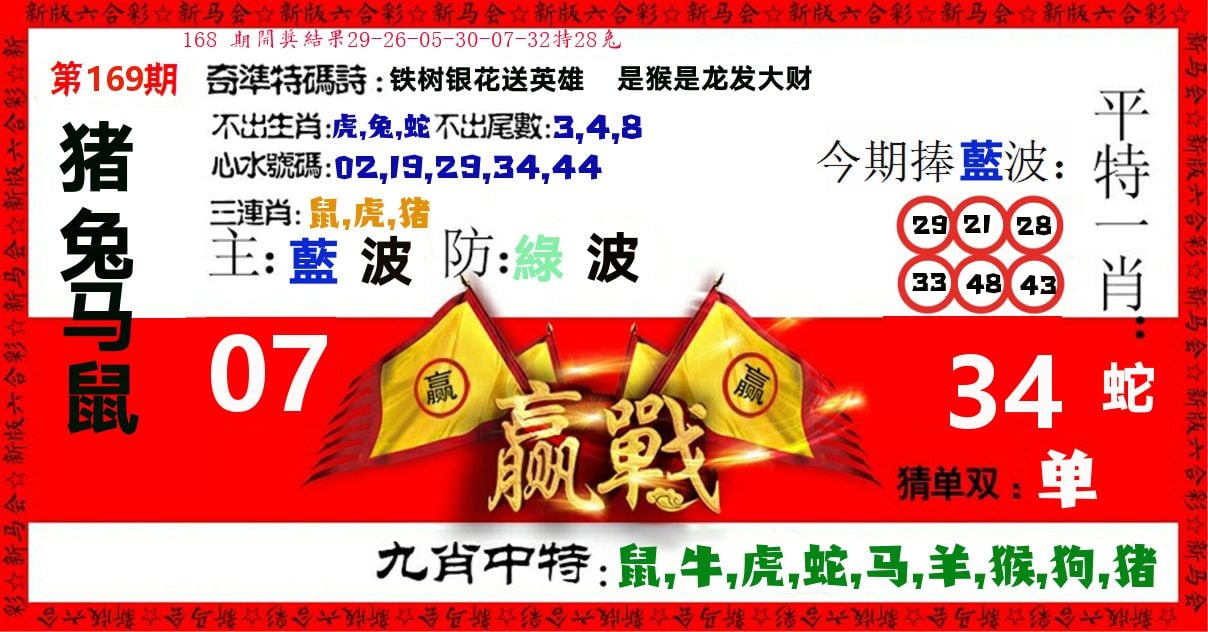 赢站 第169期