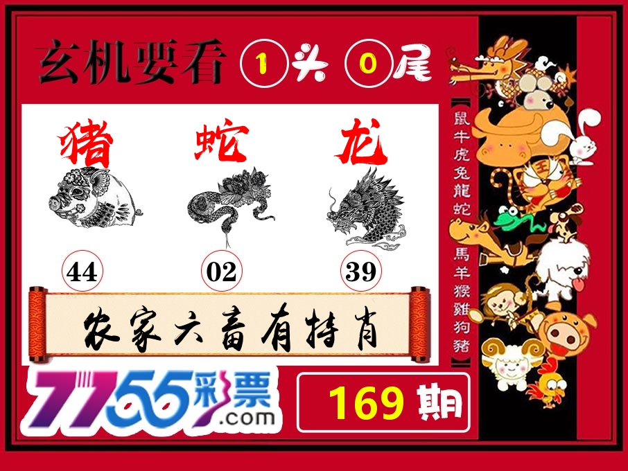 玄机要看 第169期