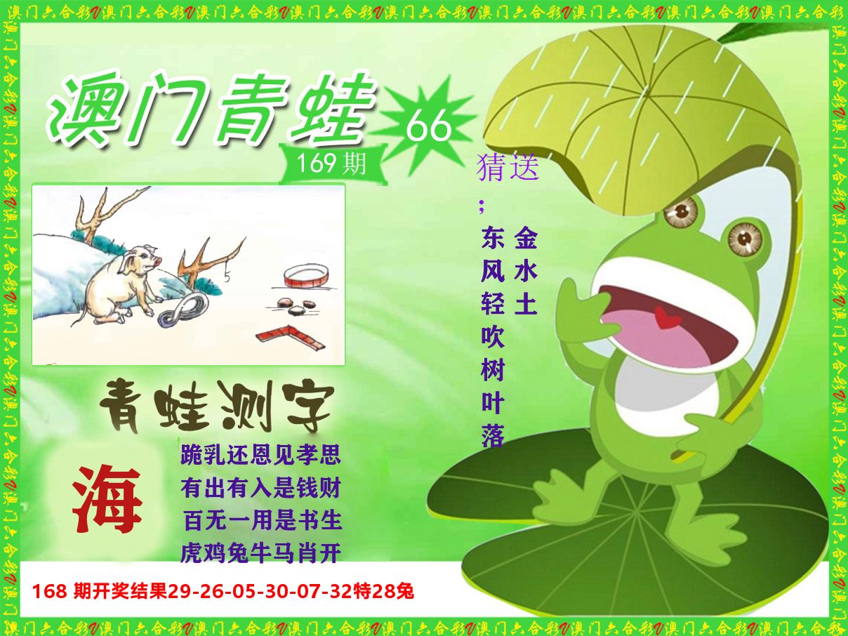 青蛙系列66 第169期