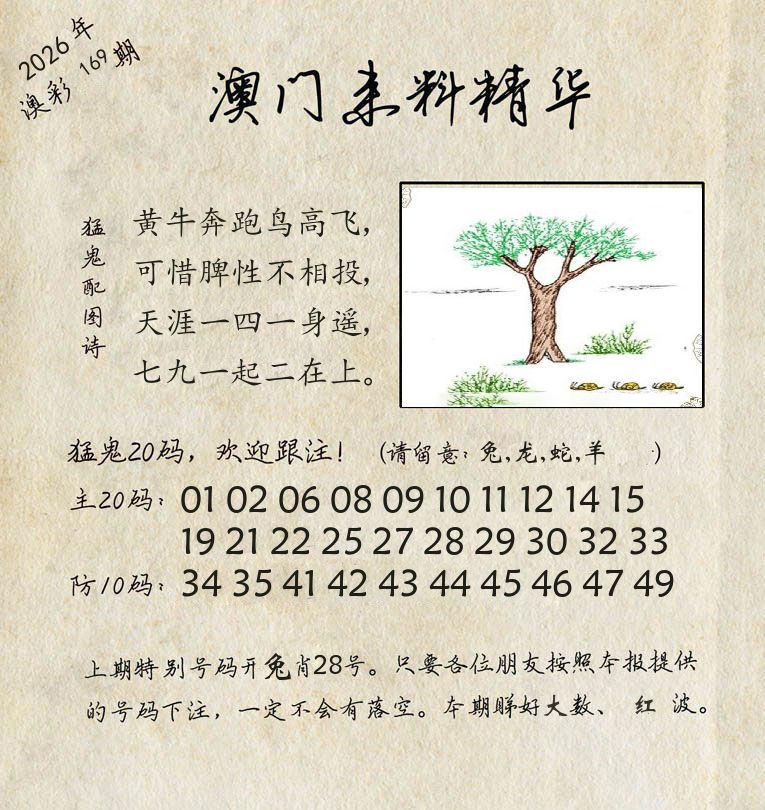 精华来料 第169期