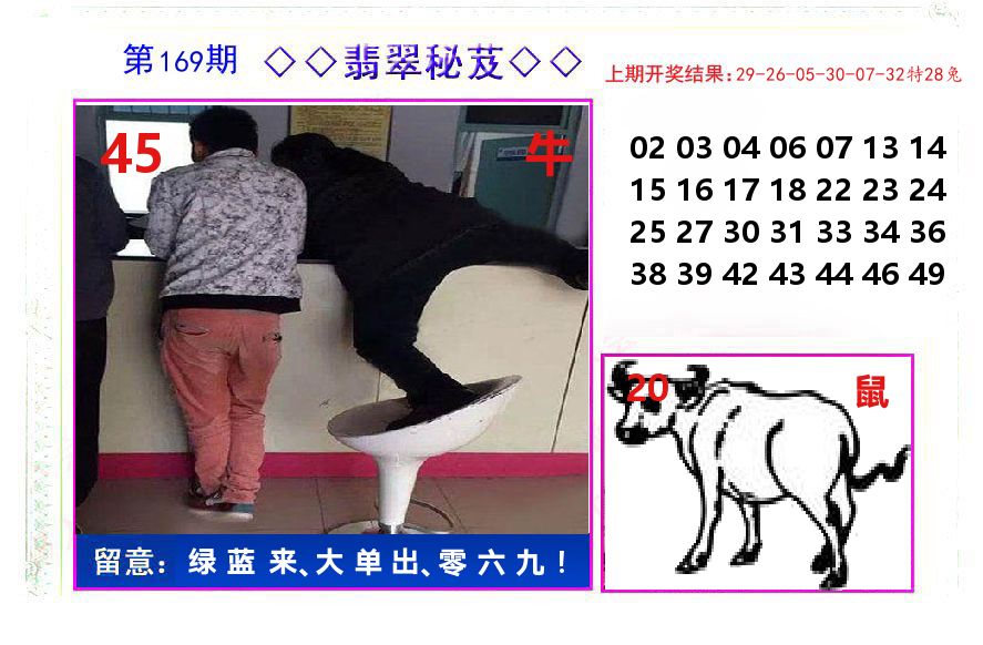 翡翠秘芨 第169期