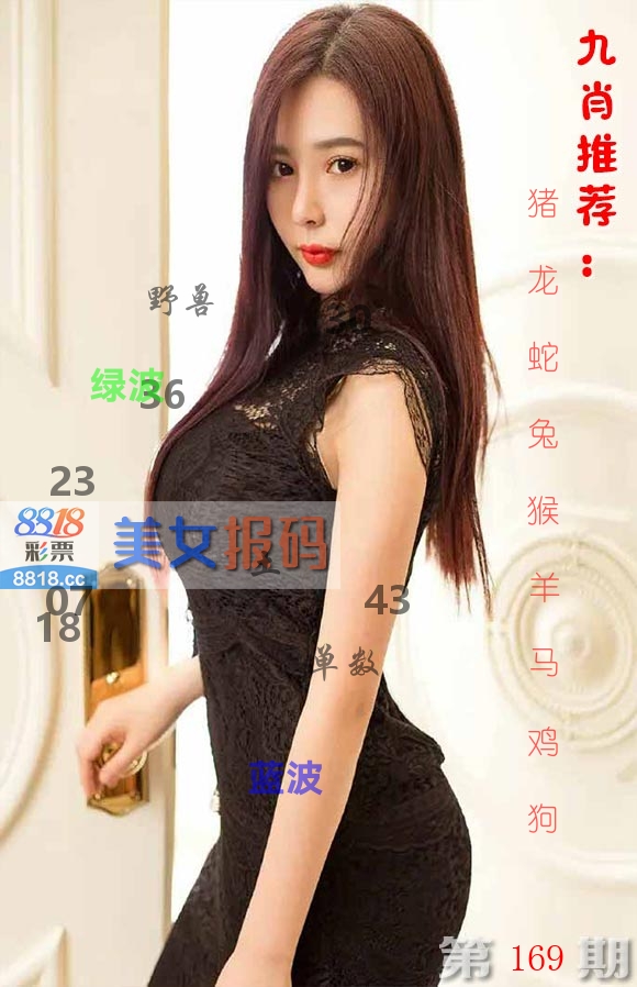 美女报码 第169期