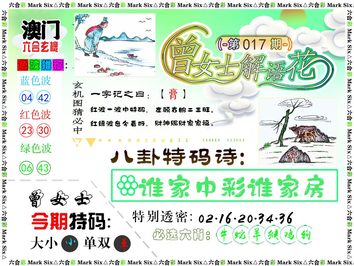 曾女士解语花 第17期