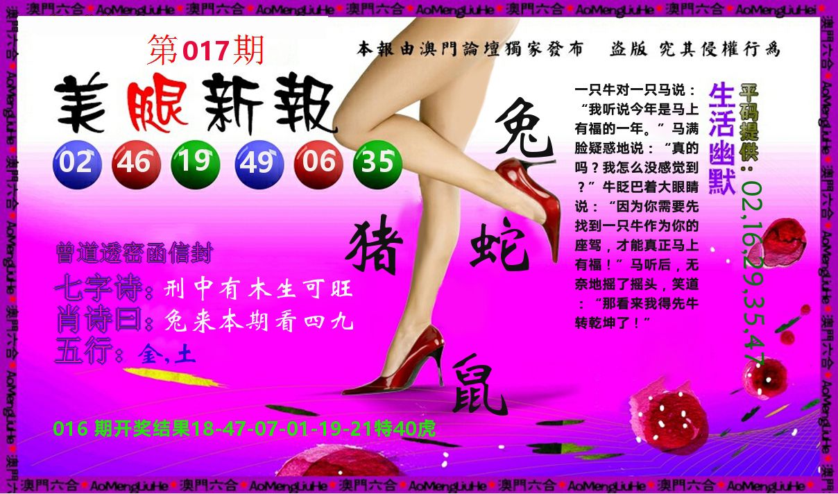 美腿新报 第17期