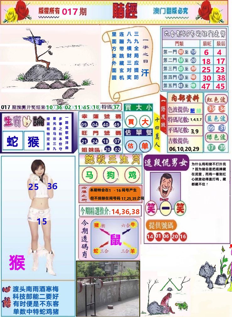 澳门赌经 第17期