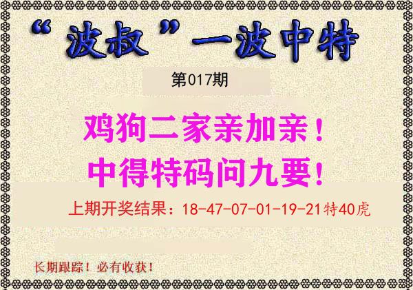 波叔中特 第17期