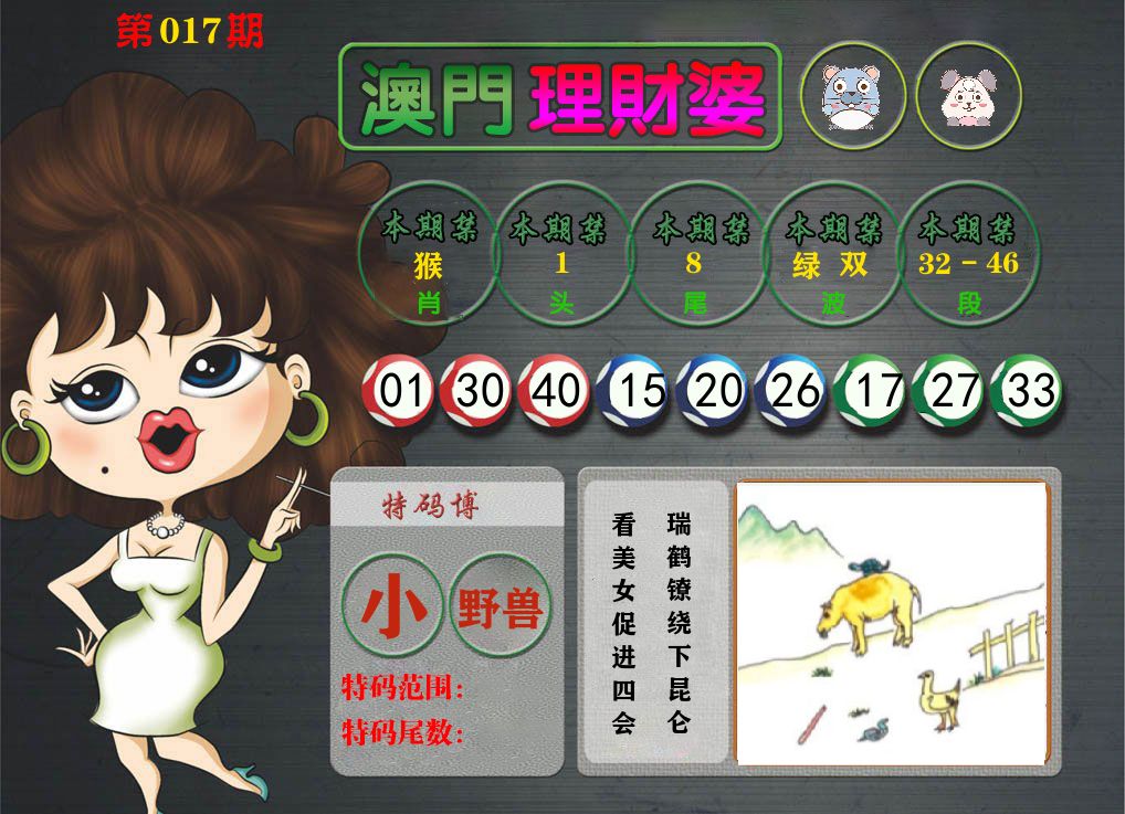 理财婆 第17期