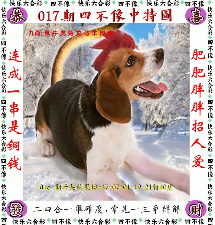 四不像 第17期