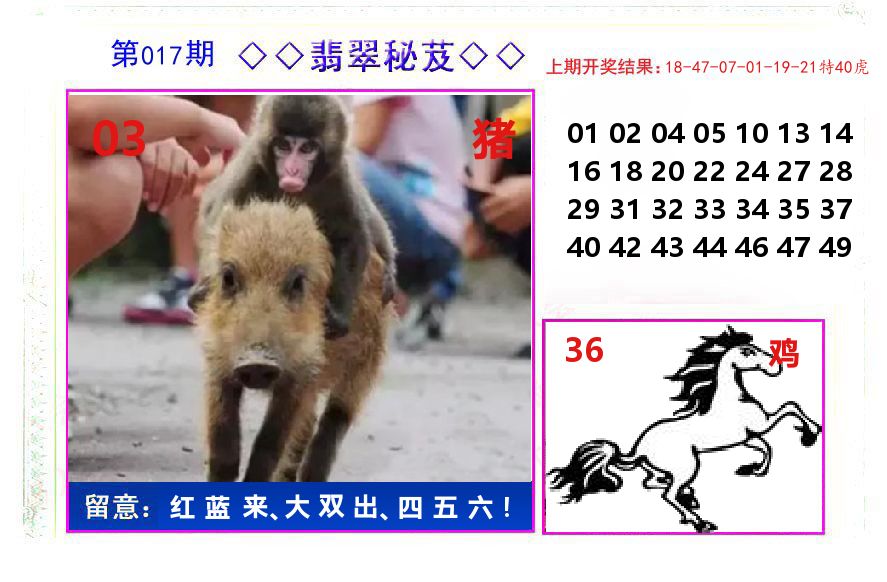 翡翠秘芨 第17期