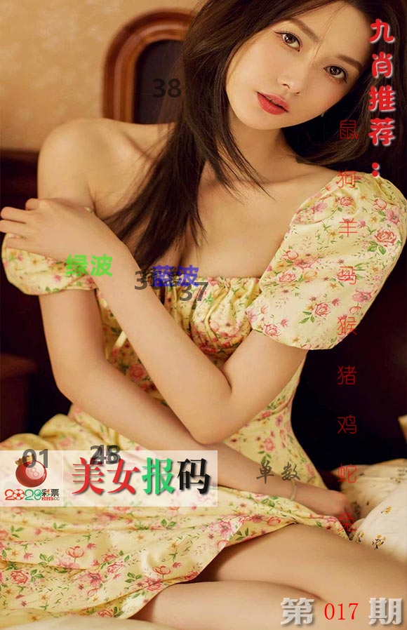 美女报码 第17期