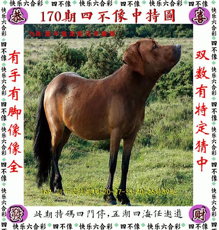 四不像 第170期
