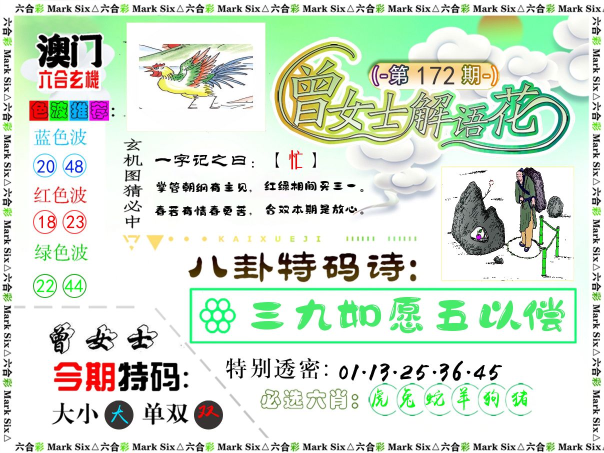 曾女士解语花 第172期