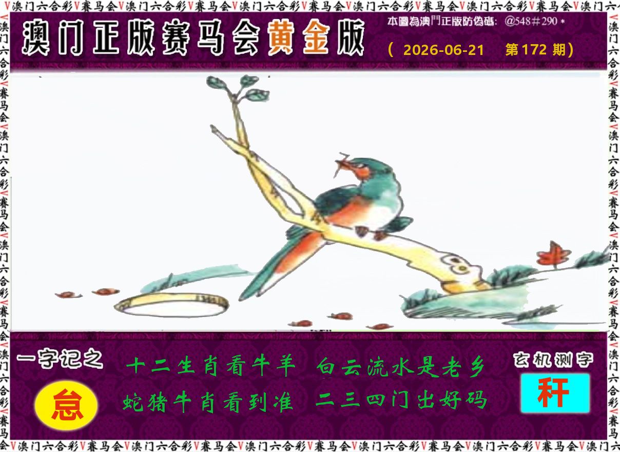 赛马会黄金版 第172期