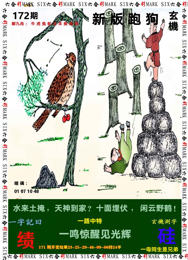 悟入其图 第172期