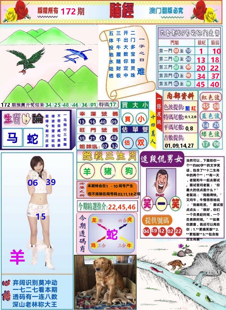 澳门赌经 第172期