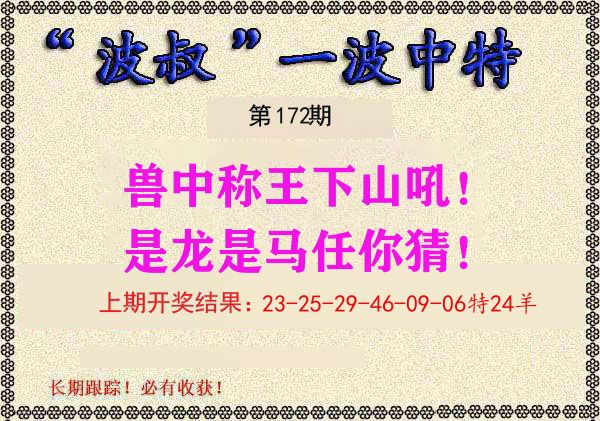 波叔中特 第172期