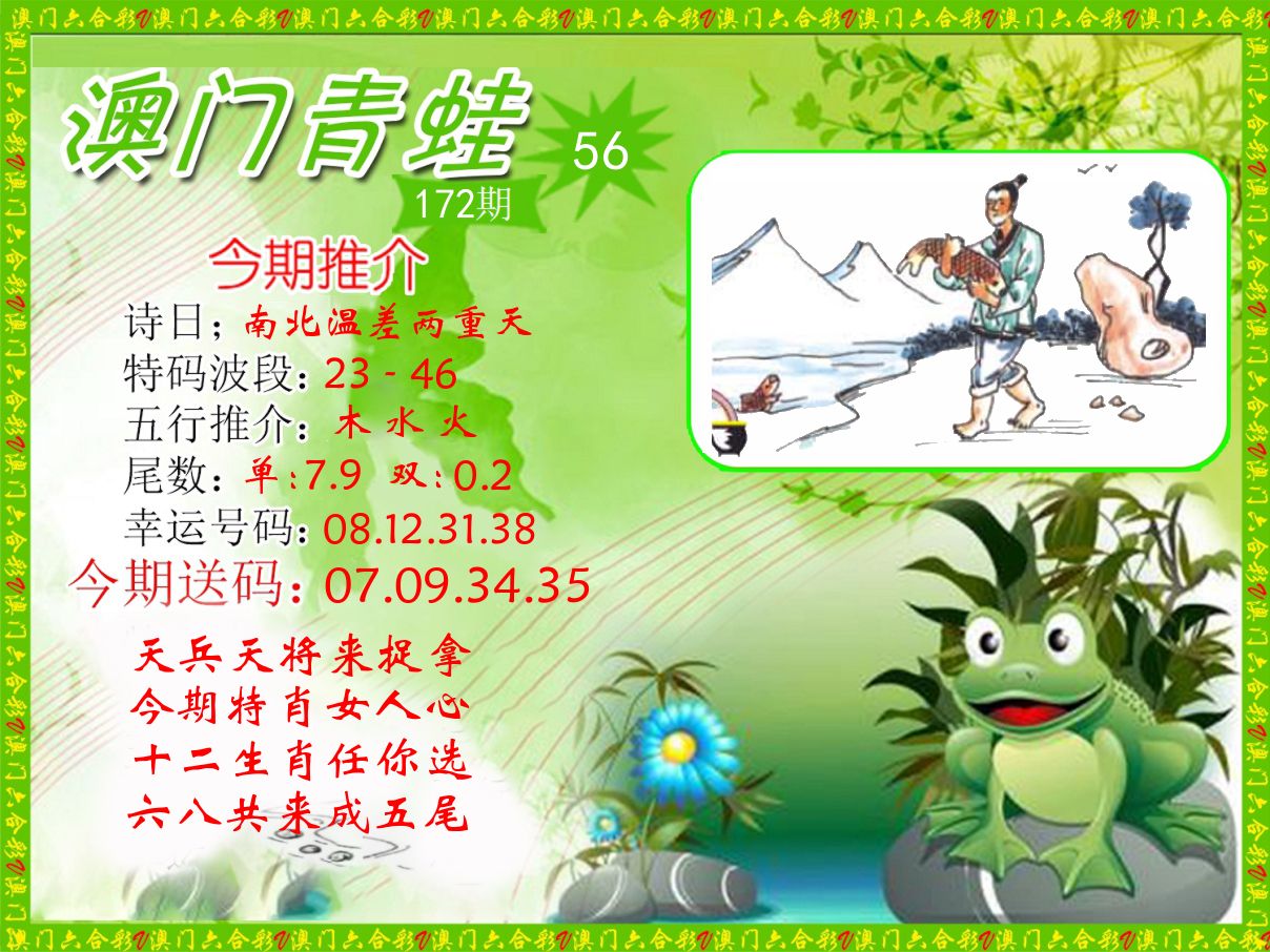 青蛙系列56 第172期
