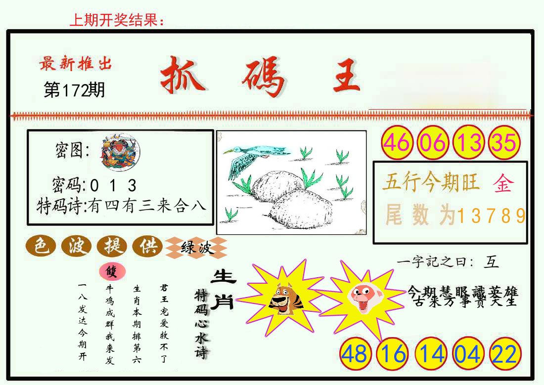 最新抓码王 第172期