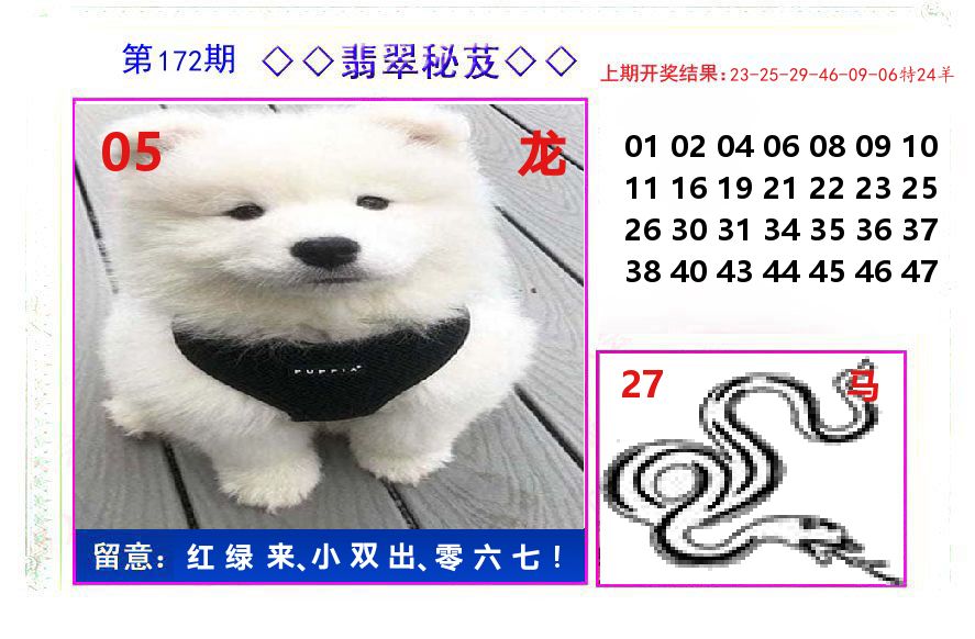 翡翠秘芨 第172期