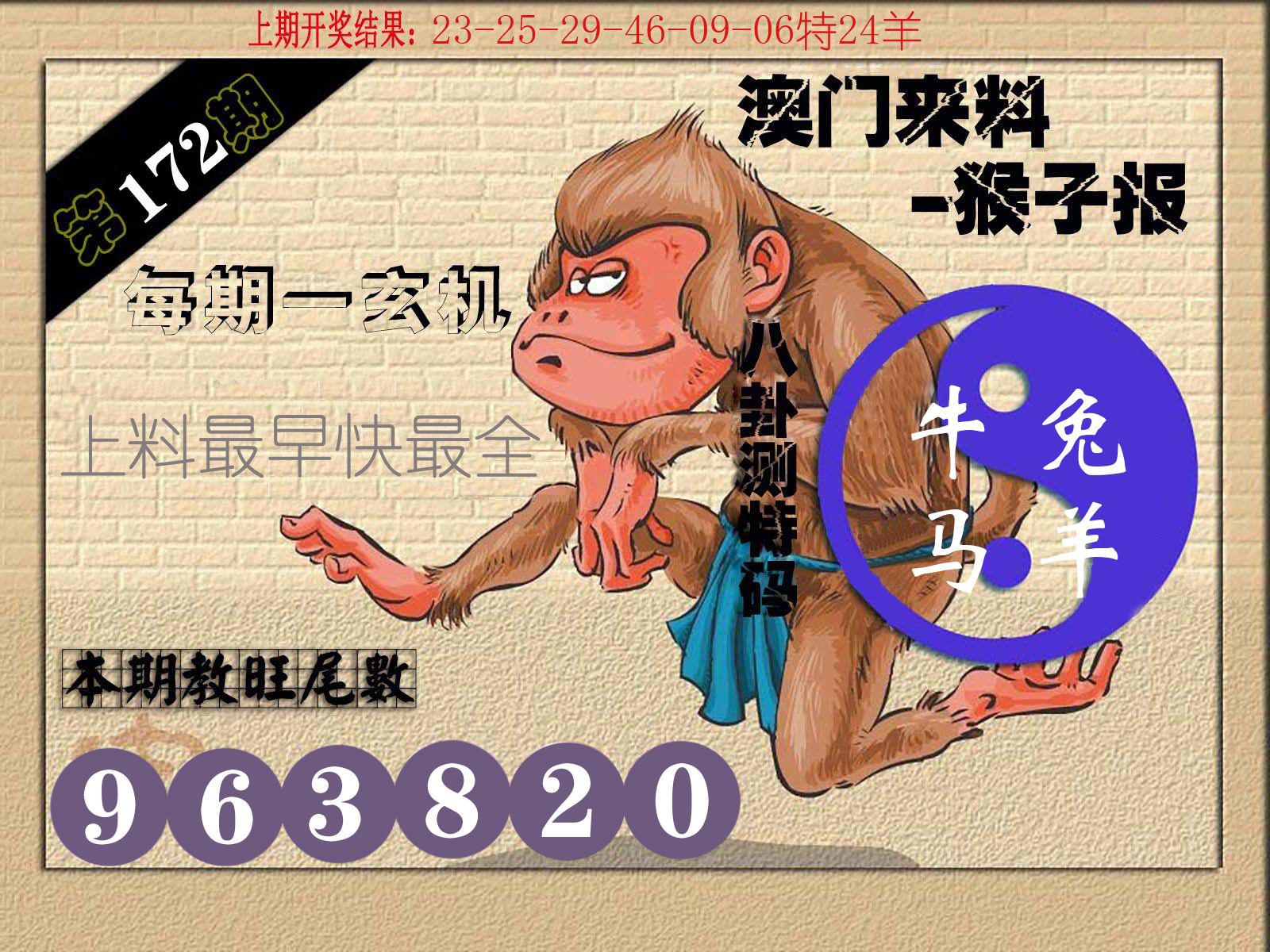 猴子报 第172期