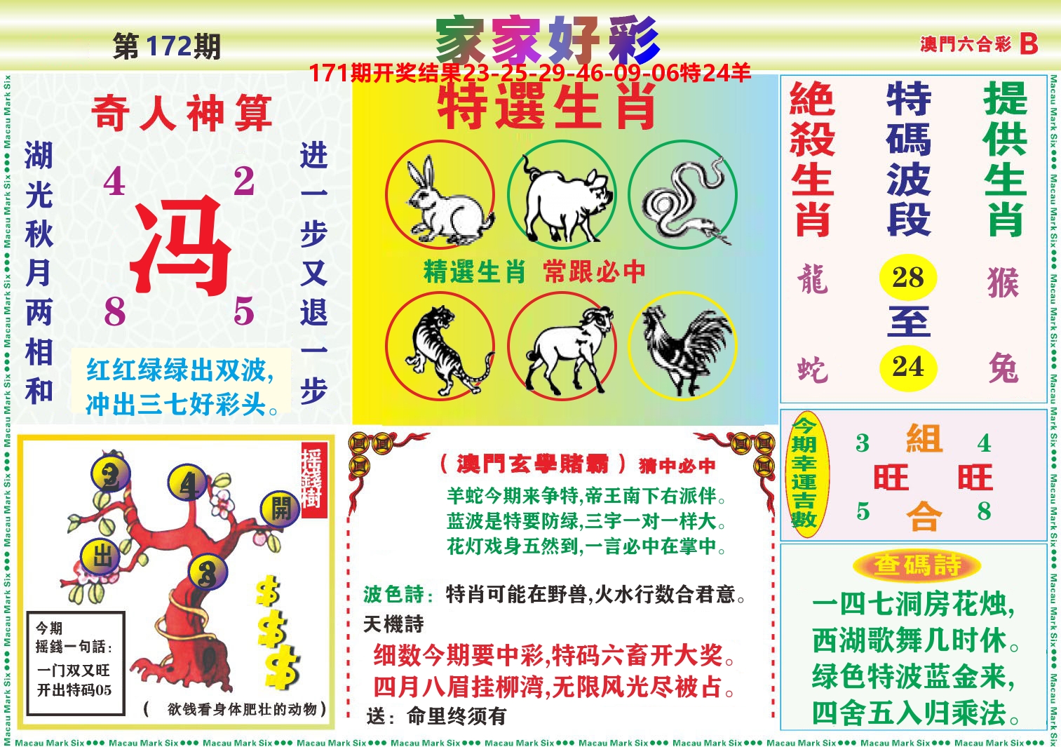 家家好彩B 第172期