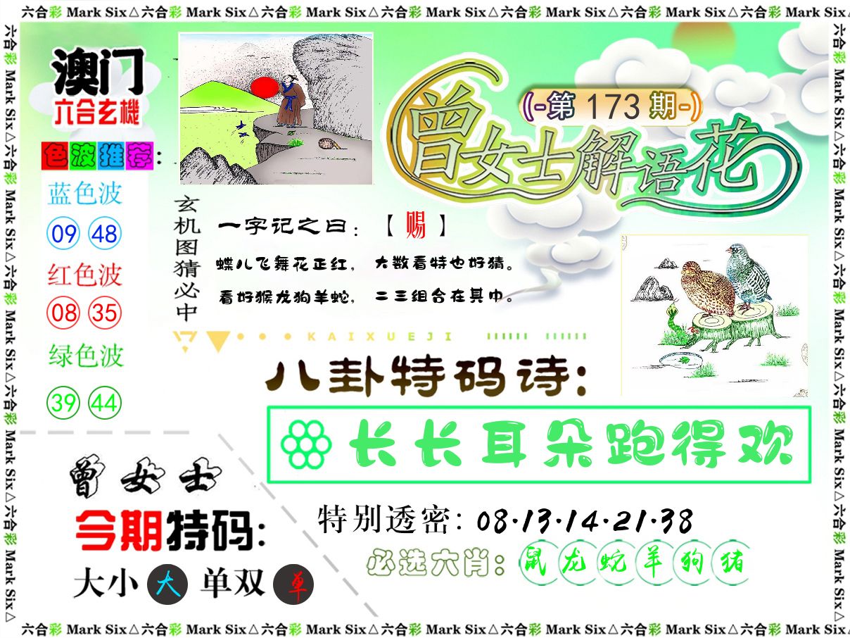 曾女士解语花 第173期