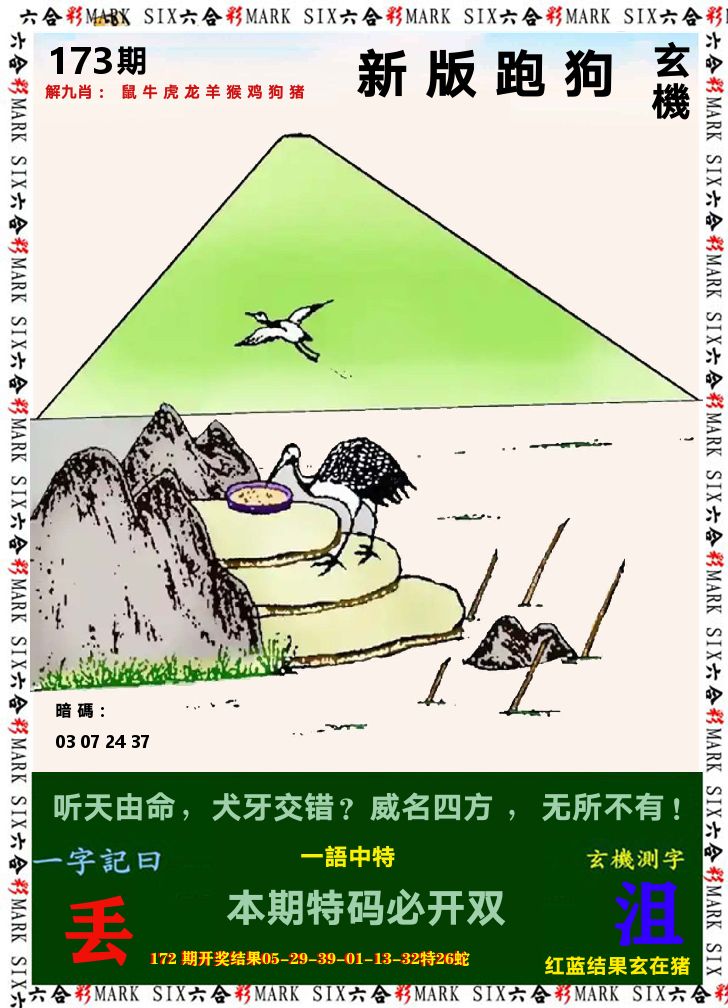 悟入其图 第173期